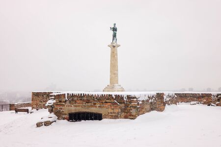 view of Belgrade Monument "Victor" under the snow , note shallow depth of fieldのeditorial素材
