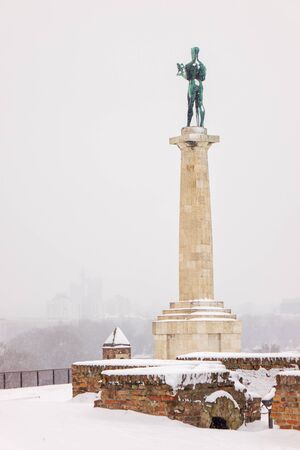 view of Belgrade Monument "Victor" under the snow , note shallow depth of fieldのeditorial素材