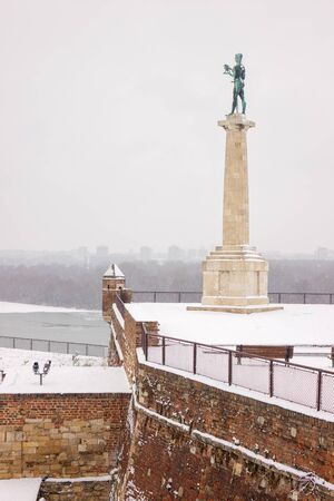 view of Belgrade Monument "Victor" under the snow , note shallow depth of fieldのeditorial素材