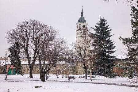 park under snow in Belgrade, note shallow depth of fieldのeditorial素材
