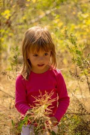 little girl picking up a flowers  in the grassの写真素材