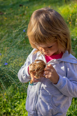 child in nature in early autumnの写真素材