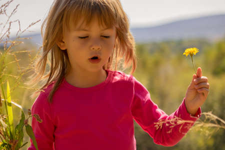 little girl picking up a flowers  in the grassの写真素材