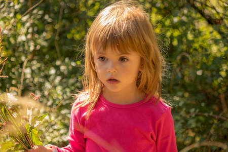 little girl picking up a flowers  in the grassの写真素材