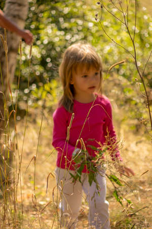 little girl picking up a flowers  in the grassの写真素材