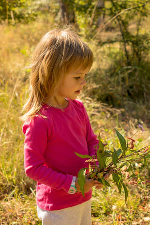 little girl picking up a flowers  in the grassの写真素材
