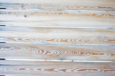 Wood background surface texture. Cross section of the tree