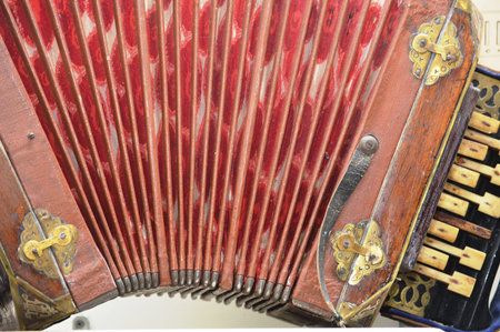 Fragments of musical instrument bayan close-up
