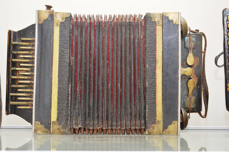 Fragments of musical instrument bayan close-up