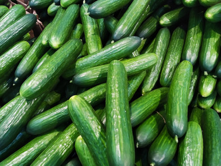 Fresh frozen fish lies in ice for sale in a supermarketの写真素材