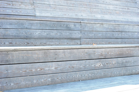 wood surface texture