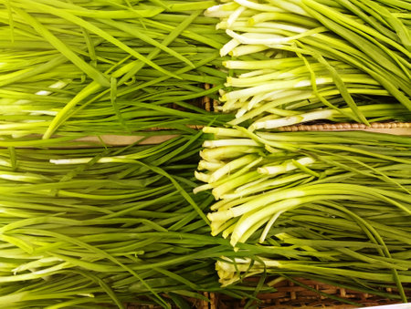 Fresh green spring onions in a basket on the market. close-upの写真素材