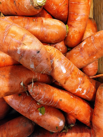 Fresh carrots for sale at the market. close-up. background.