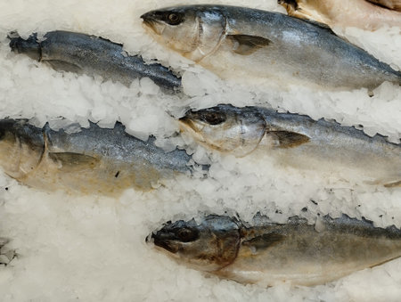 Fresh mackerel fish on ice at a fish market in Istanbul, Turkey