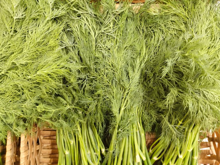 Fresh dill in a wicker basket on a market stall.の写真素材