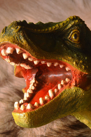 Close up of a dinosaur head with open mouth and sharp teeth.の写真素材