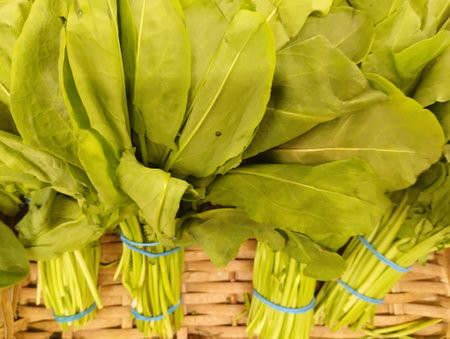 Bunch of fresh sorrel in a basket on a market stall