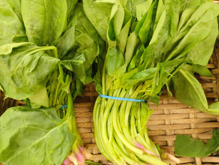 Spinach in the basket on the market. Health food.