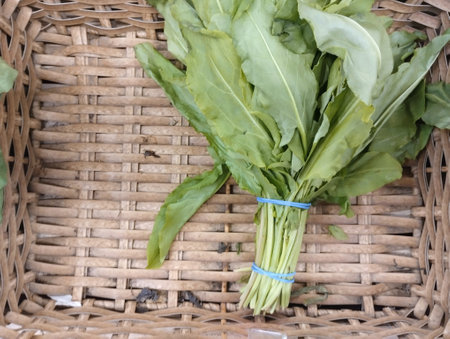 Spinach leaves in a basket on a market in India.の写真素材