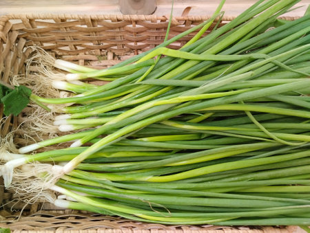 Fresh spring onions in a basket on a wooden background. close-up.の写真素材