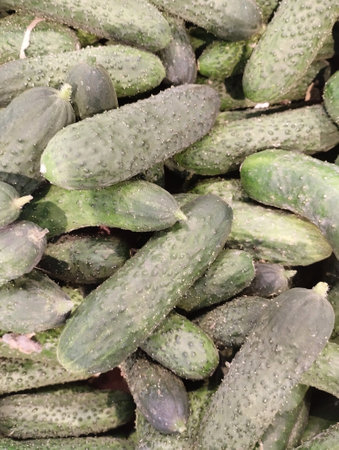 Cucumbers for sale at the market, closeup of photoの写真素材