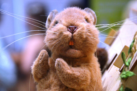 Cute little ginger cat with a funny expression. Animal theme.