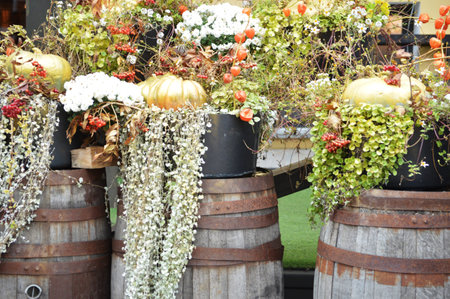 flowers and pumpkins in a vase at a flower marketの写真素材