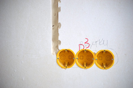 Electric plug in the wall with a white background and space for text