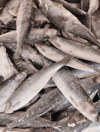 Frozen fish in the market. Close up of fresh fish.