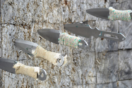 Garden tools hanging on a tree, close-up, selective focus