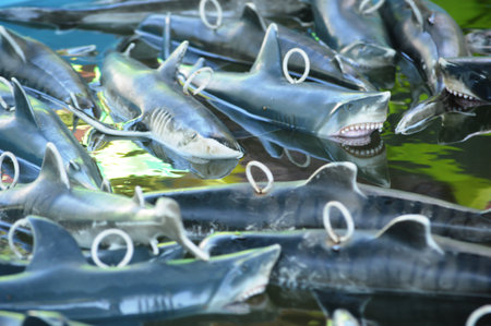 shark in the market, Thailand, selective focus.の写真素材