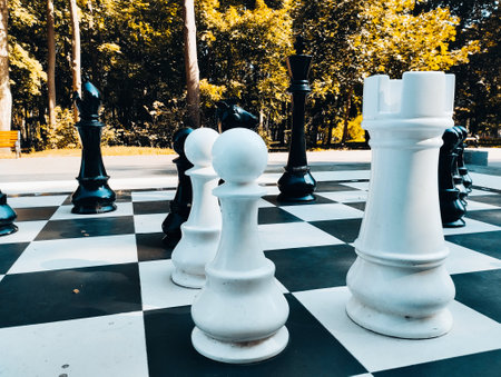 White and black chess pieces on the chessboard in the park.の写真素材