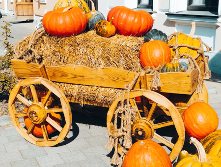 Halloween decoration with pumpkins and cart on the street in autumnの写真素材