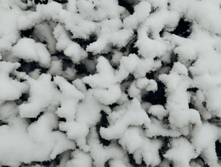 Snow on the ground as a background. Close-up image.の写真素材