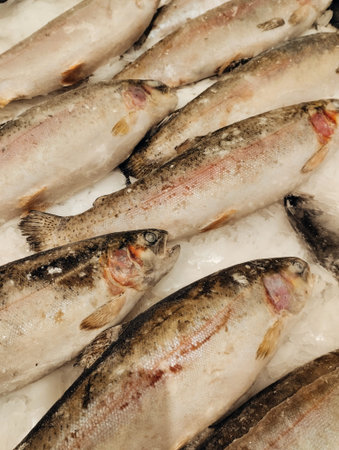 Fresh fish on ice in the supermarket. Close up. Toned.