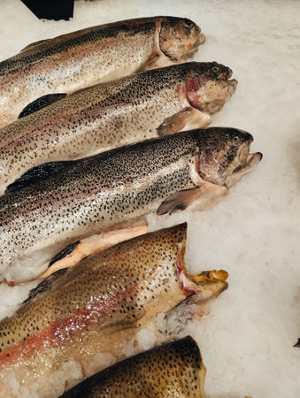 Fresh raw rainbow trout fish on ice in supermarket, top view.の写真素材