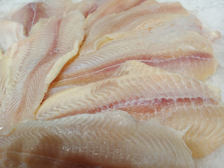 Tilapia fillets on ice in the market, close up