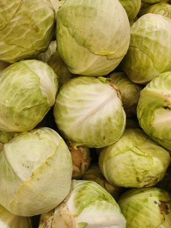 closeup of fresh green heads of cabbage on the counter in the supermarketの写真素材