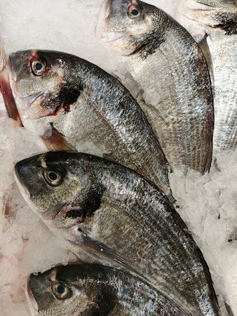 Fresh sea breath fish on ice in supermarket. Top view.の写真素材
