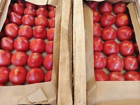 Tomatoes in paper bags at a farmers market, closeup of photoの写真素材