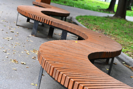Wooden bench in the park with fallen leaves in the park.