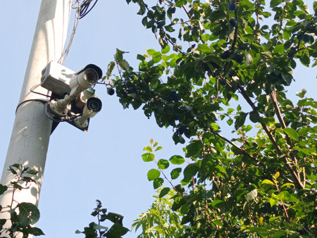 security camera on electric pole with green tree and blue sky background.
