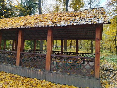 Wooden gazebo in the autumn park with fallen leavesの写真素材