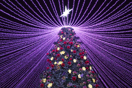 christmas tree with lights and ornaments at night, closeup of photoの写真素材