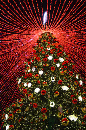 Christmas tree decorated with red and white lights at night, Thailand.の写真素材