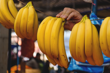 Bananas at the market standの写真素材