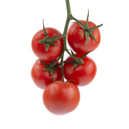 ripe tomatoes on the vine, white insulated background, close-upの写真素材