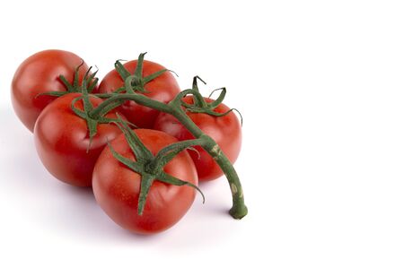 ripe tomatoes on the vine, white insulated background, close-upの写真素材