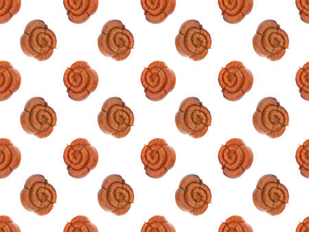Seamless pattern.Smoked sausage, twisted in a spiral tied with a rope, is isolated on a white background.の写真素材