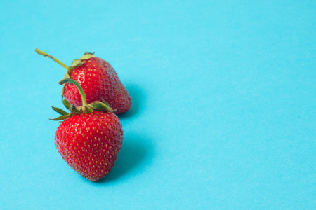 A freshly picked strawberry on a blue background.の写真素材
